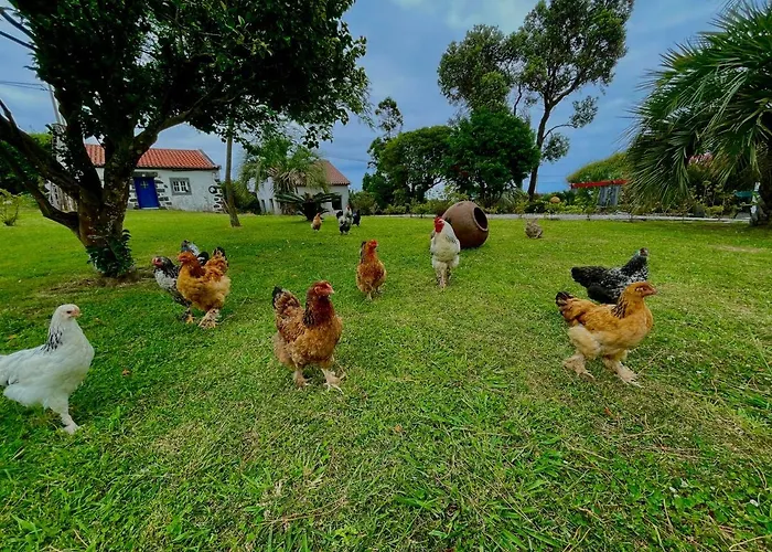 Solar Pontes Country house *